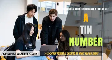 International Student's Guide to Getting a TIN Number
