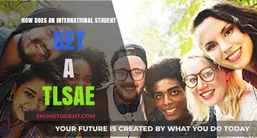 International Students: Get Your TLSAE in Easy Steps