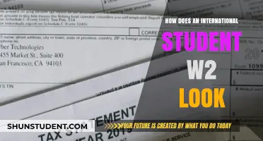 Understanding Your W-2 as an International Student
