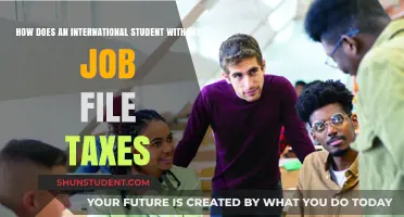 Filing Taxes: A Guide for Jobless International Students