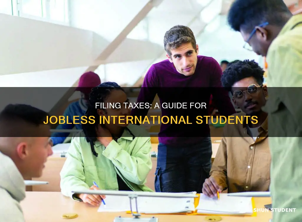 how does an international student without job file taxes