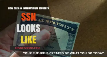 Understanding Your SSN as an International Student