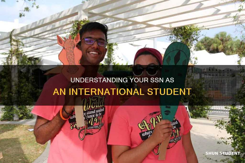 how does an international students ssn looks like