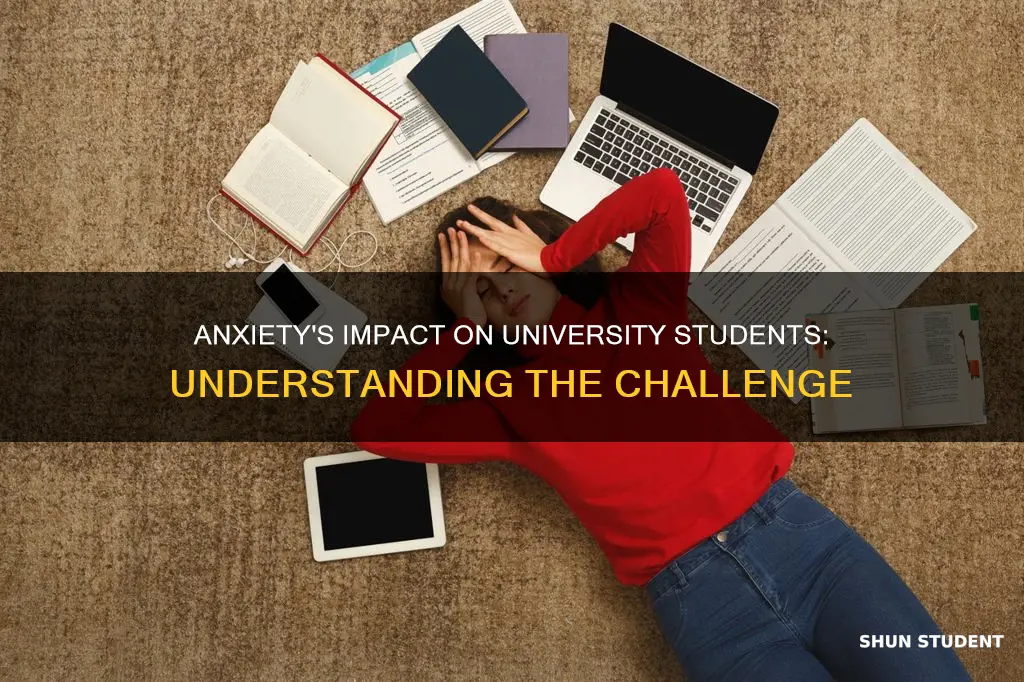 how does anxiety affect university students