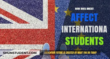 Brexit's Impact on International Students: What You Need to Know