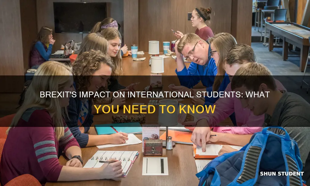 how does brexit affect international students