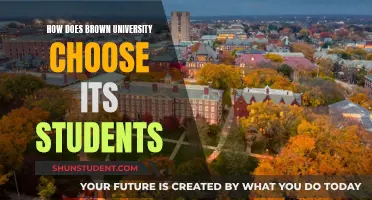 Brown University Student Selection: Criteria and Considerations