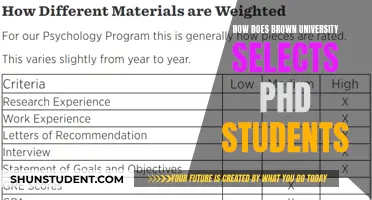 Brown University's PhD Student Selection Secrets
