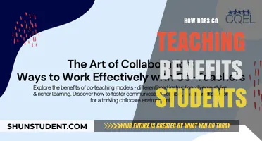 Co-Teaching: Enhancing Student Learning Through Collaborative Instructional Strategies