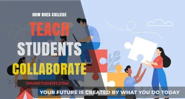 Fostering Teamwork: How College Environments Enhance Student Collaboration Skills