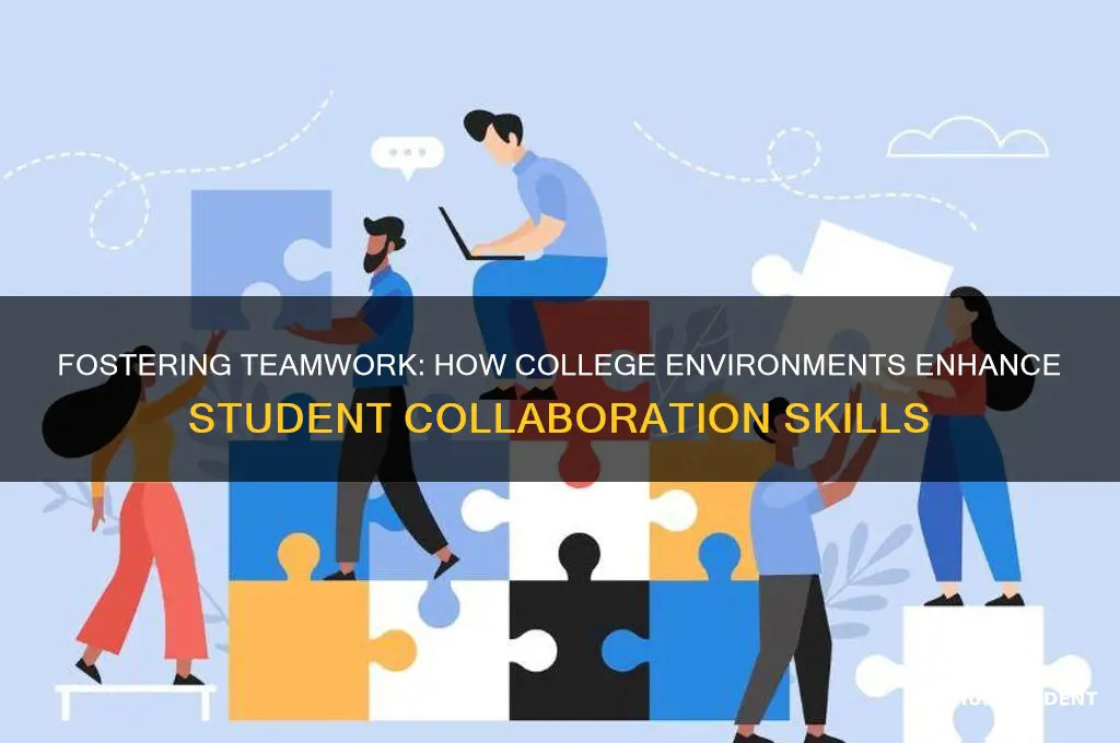 how does college teach students collaborate