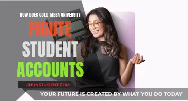 Understanding Student Accounts at Colo Mesa University