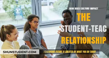 Cultural Influences on Student-Teacher Dynamics: Building Trust and Understanding