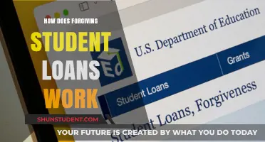 Understanding Student Loan Forgiveness: How It Works and Who Qualifies