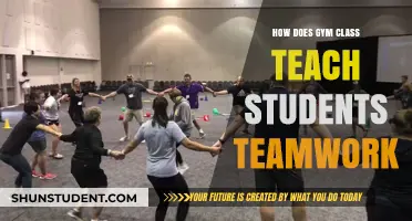 Gym Class: Building Teamwork Skills Through Physical Education