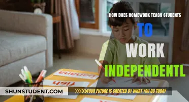 Fostering Independence: The Role of Homework in Self-Directed Learning