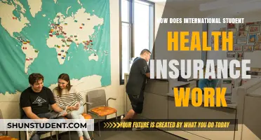 International Student Health Insurance: What You Need to Know