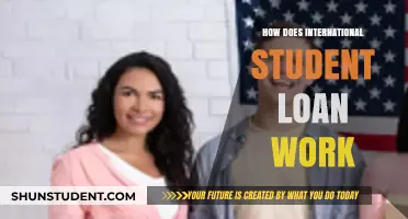 International Student Loans: How Do They Work?