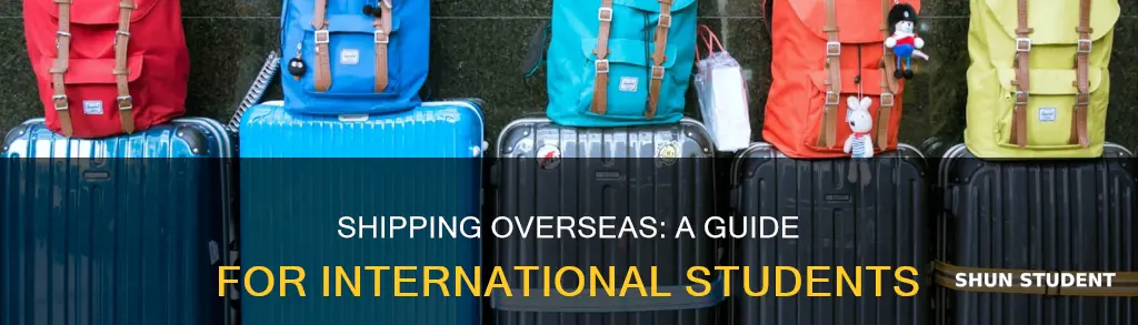 how does international student ship expensive stuff oversea