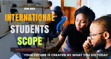 International Students: Exploring Opportunities and Challenges
