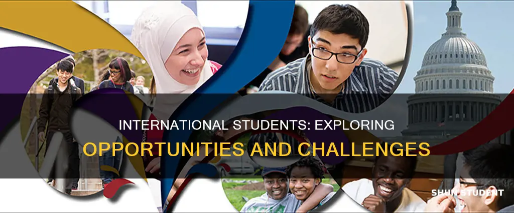 how does international students scope