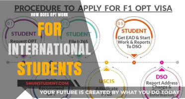 OPT for International Students: Understanding the Basics