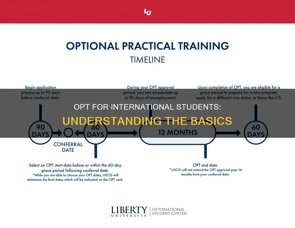 how does opt work for international students