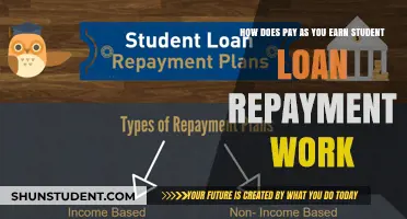 Understanding PAYE Student Loan Repayments