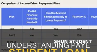 how does pay as you earn student loan repayment work