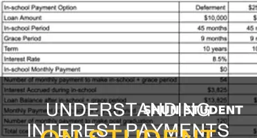 how does paying interest on student loans work