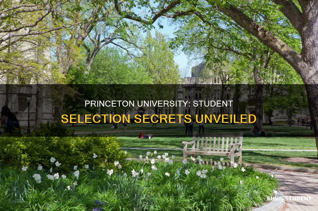 how does princeton university select students