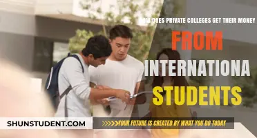 Private Colleges: International Student Revenue Stream