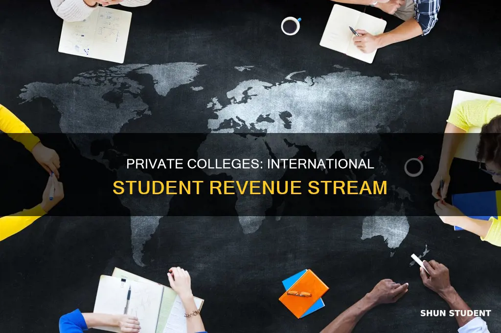 how does private colleges get their money from international students