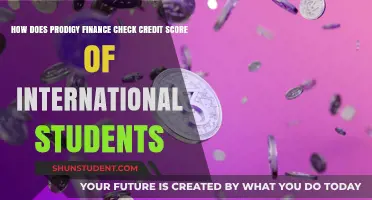 Credit Checks: Prodigy Finance's International Student Policy