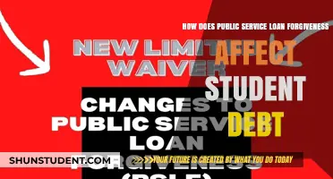 Public Service Loan Forgiveness: Easing Student Debt Burden for Borrowers