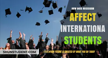 Impact of Recession on International Students' Lives