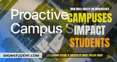 University Safety: Impacting Student Experience and Performance