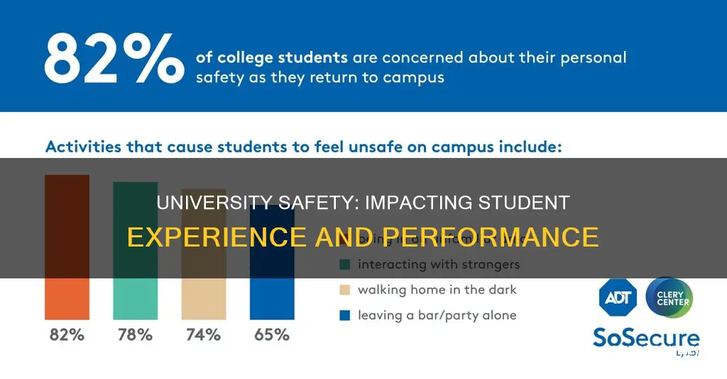 how does safety on universities campuses impact students