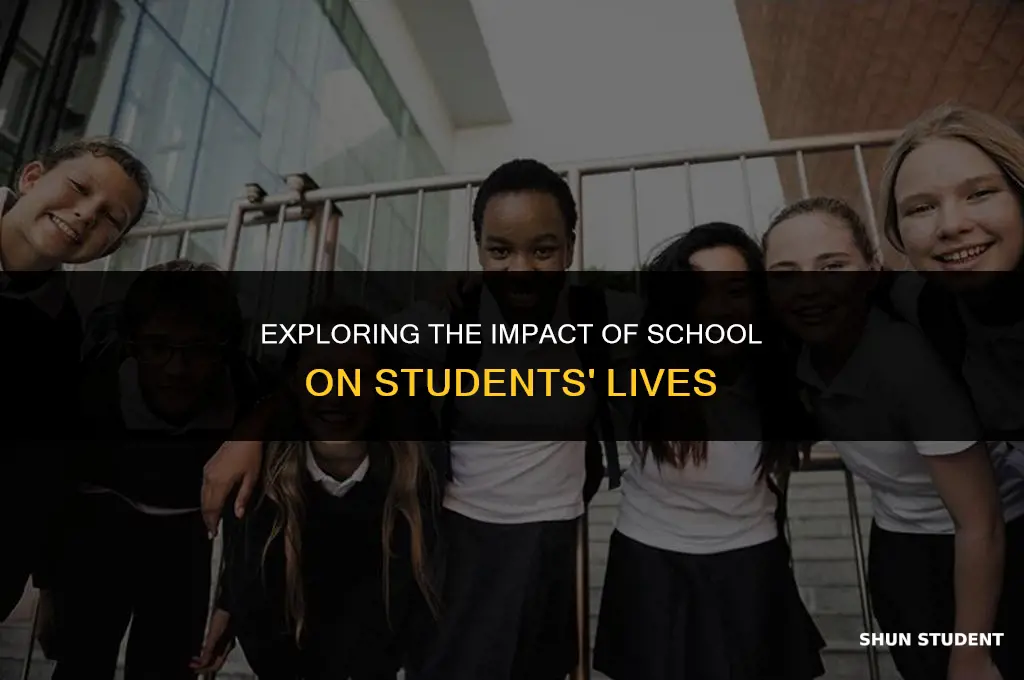 how does school affect students