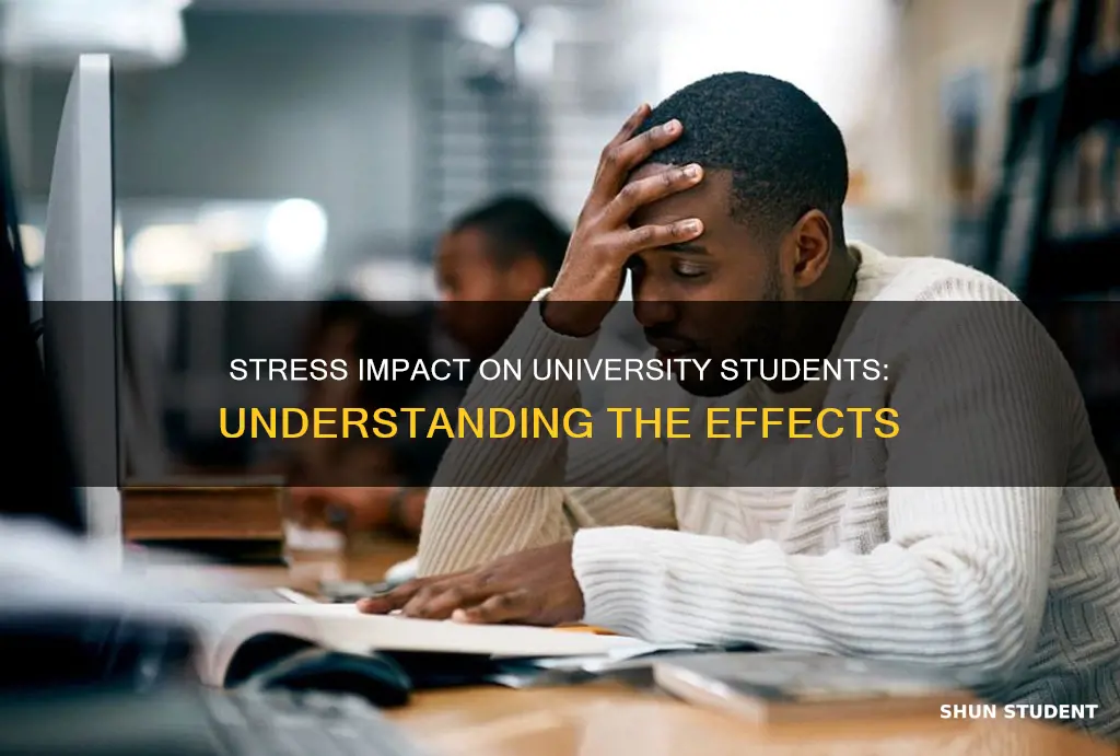 how does stress affect university students