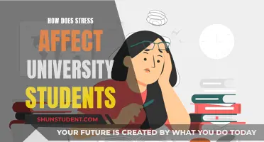 Stress Impact: University Students' Mental Health