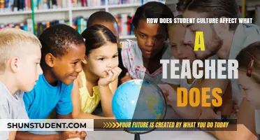 Student Culture's Impact: Shaping Teacher Strategies and Classroom Dynamics