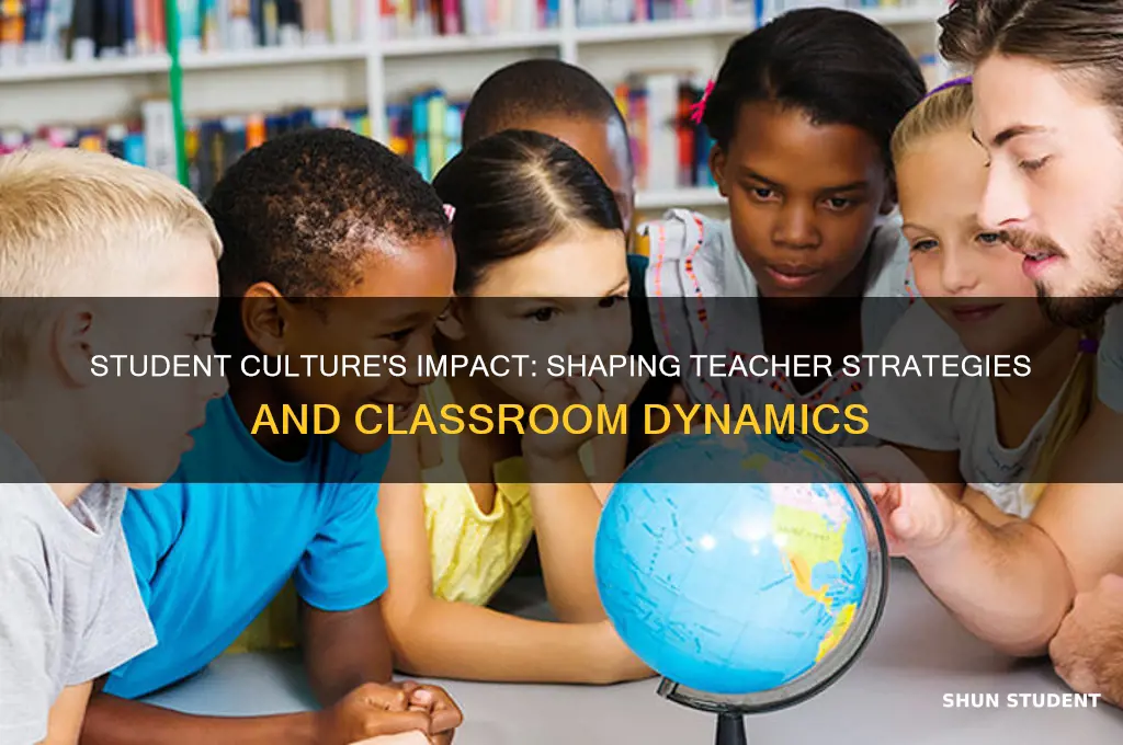 how does student culture affect what a teacher does