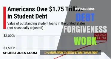Understanding Student Debt Forgiveness: How It Works and Who Qualifies