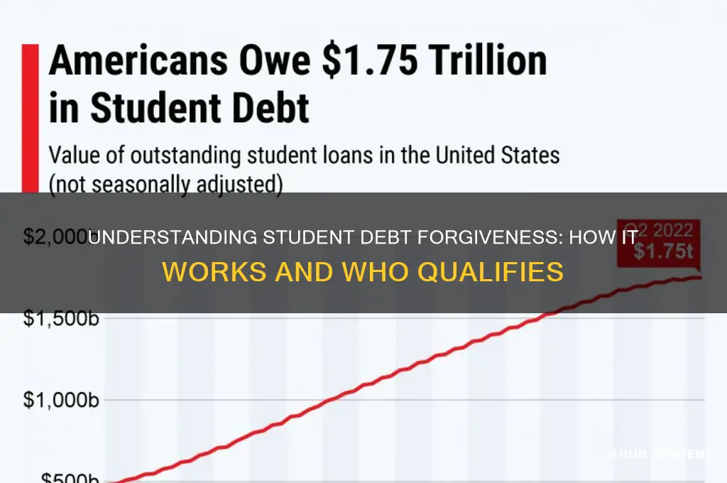 how does student debt forgiveness work