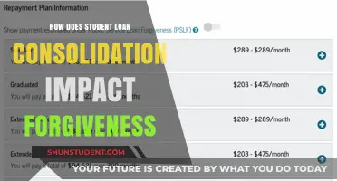 Student Loan Consolidation: How It Affects Your Forgiveness Options