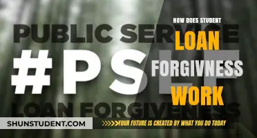 Understanding Student Loan Forgiveness: Eligibility, Process, and Benefits Explained
