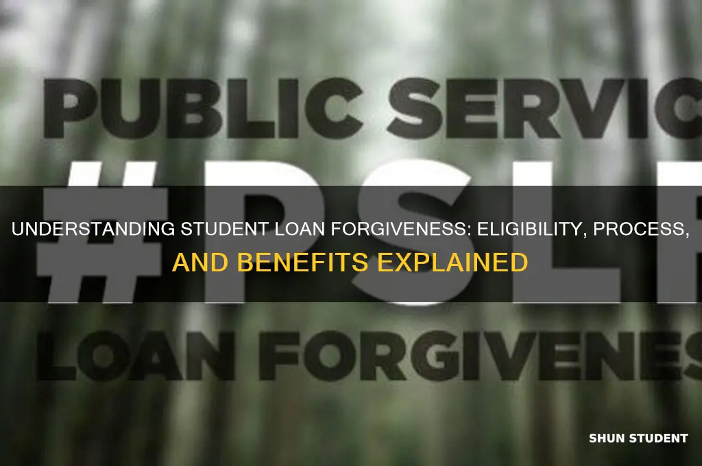 how does student loan forgivness work