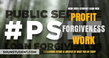 Understanding Student Loan Non-Profit Forgiveness: A Comprehensive Guide