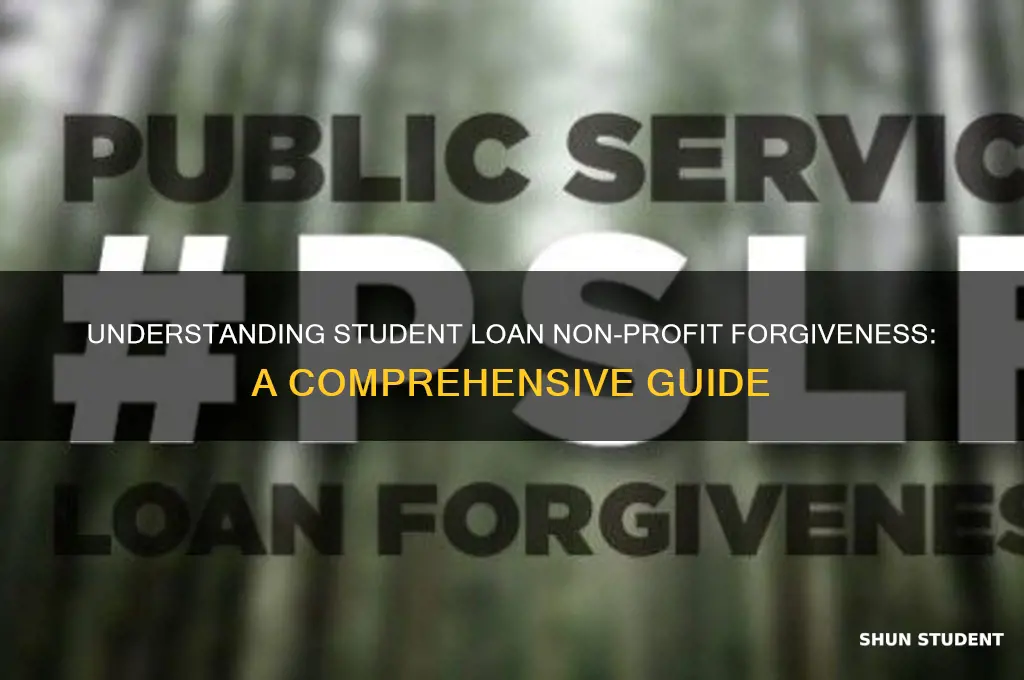 how does student loan non profit forgiveness work